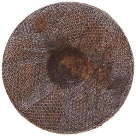 Jiffy J3R36 peat pellet expansion close up demonstrates sevenfold size increase