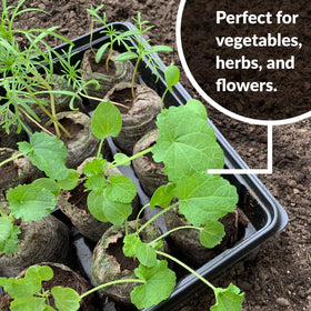 Jiffy 72 peat pellets support vegetables, herbs, and flowers.