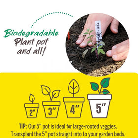 Jiffy peat pots 24-pack lets you start multiple plants.