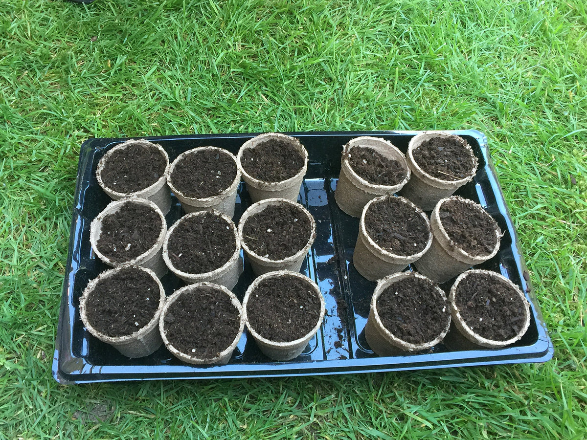 Root-friendly design supports healthy root growth during transplanting.