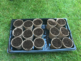 Root-friendly design supports healthy root growth during transplanting.