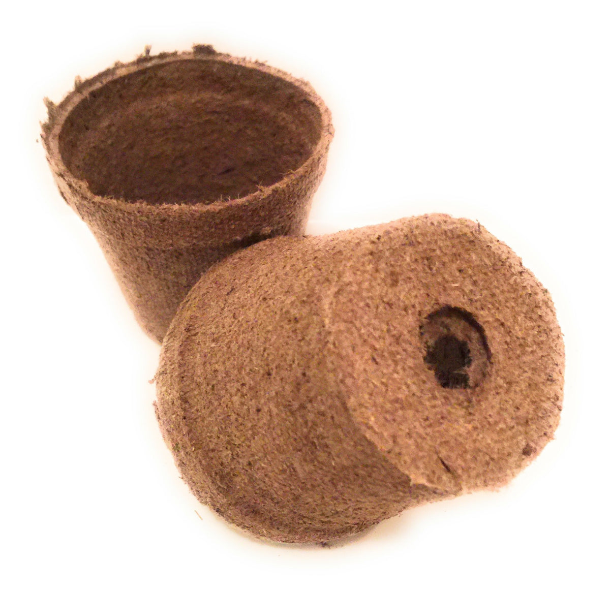 Transplant-ready pots let you move whole plant into ground or container.