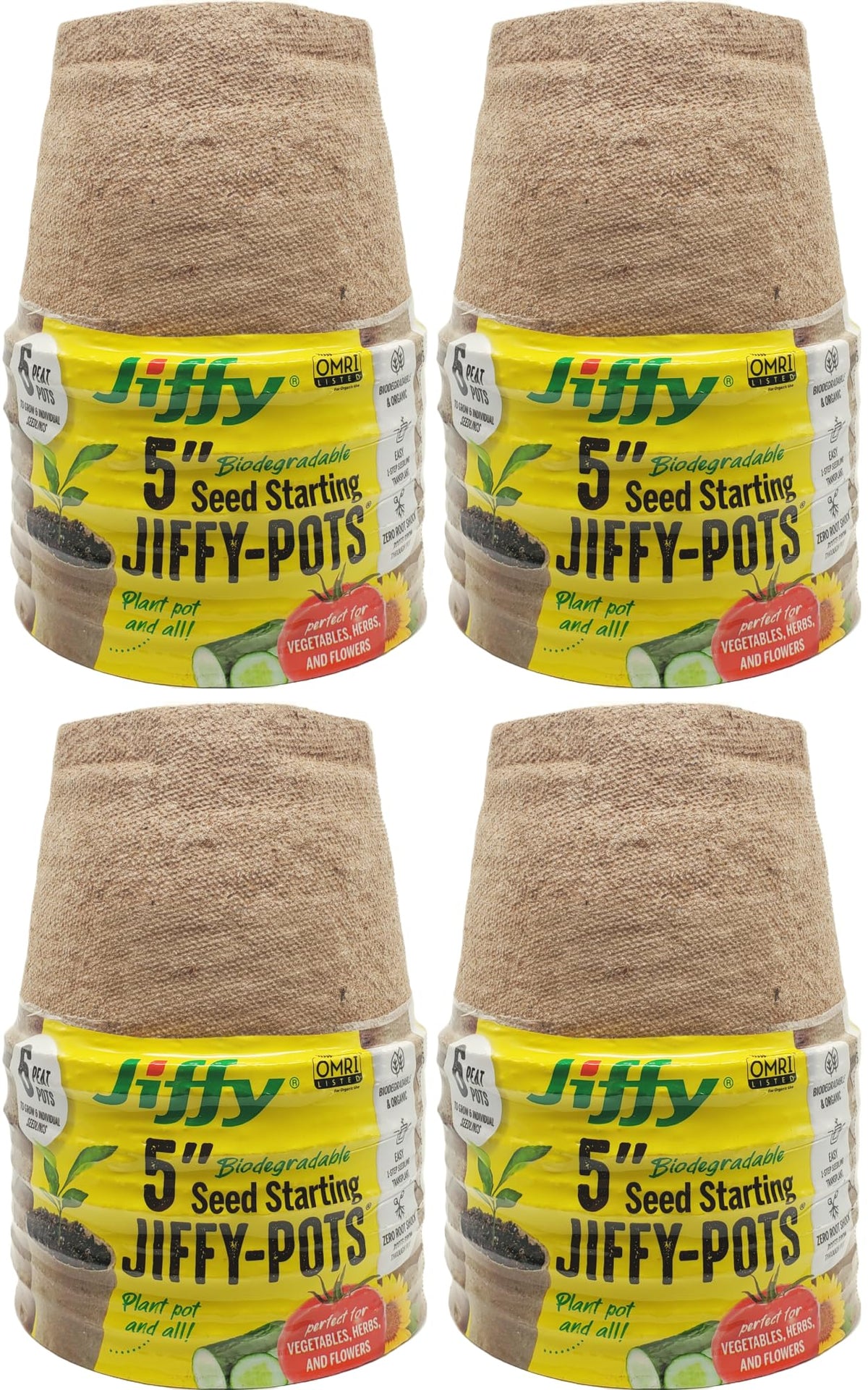 Jiffy seed starting pots 5in on a tray for even germination.