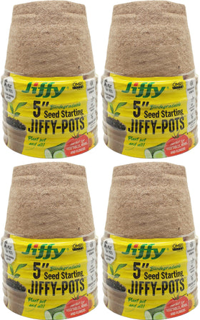 Jiffy seed starting pots 5in on a tray for even germination.