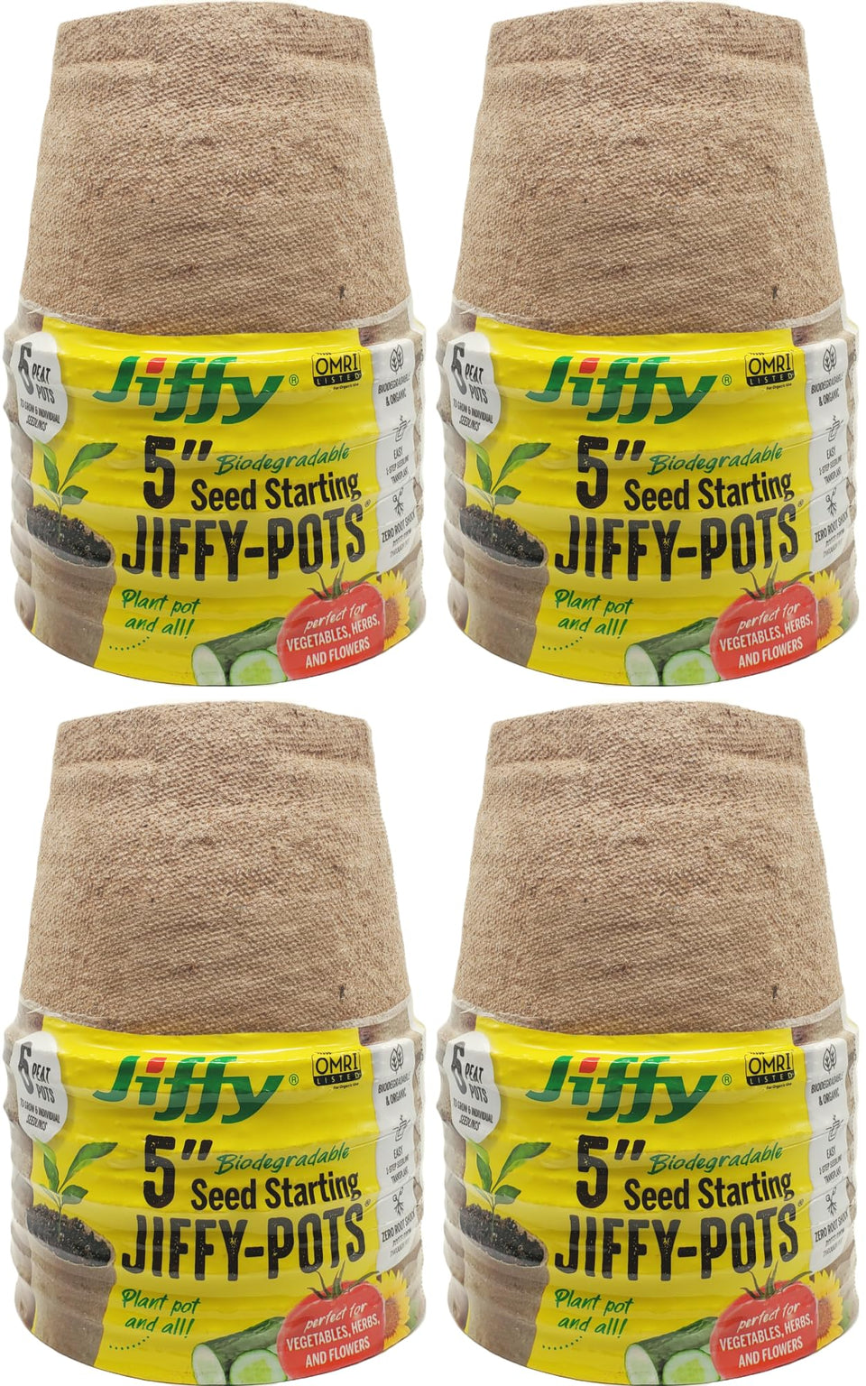 Jiffy seed starting pots 5in on a tray for even germination.