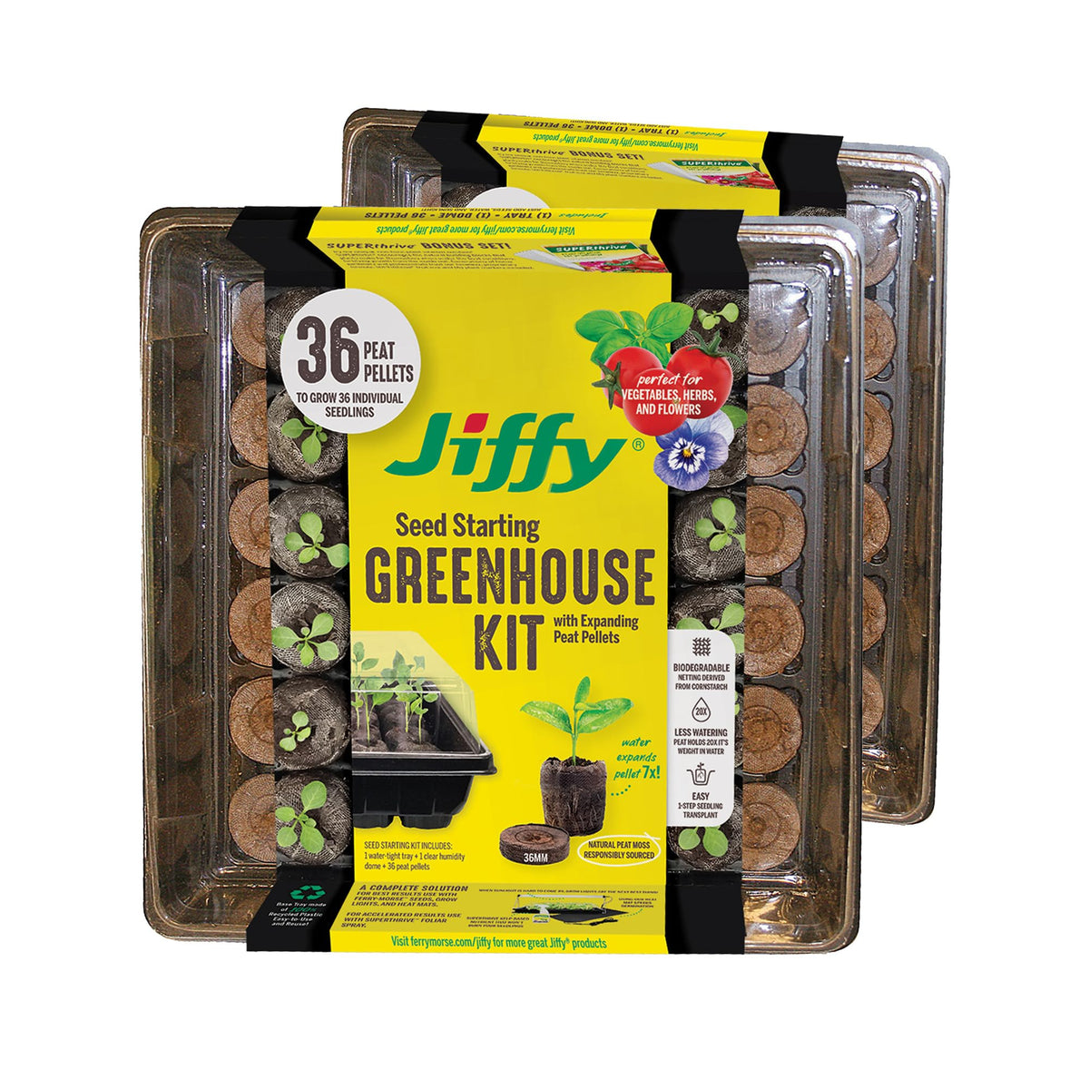 Jiffy seed starting tray 36-cell for organized germination on a windowsill.