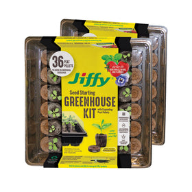 Jiffy seed starting tray 36-cell for organized germination on a windowsill.