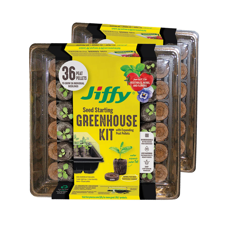 Jiffy seed starting tray 36-cell for organized germination on a windowsill.