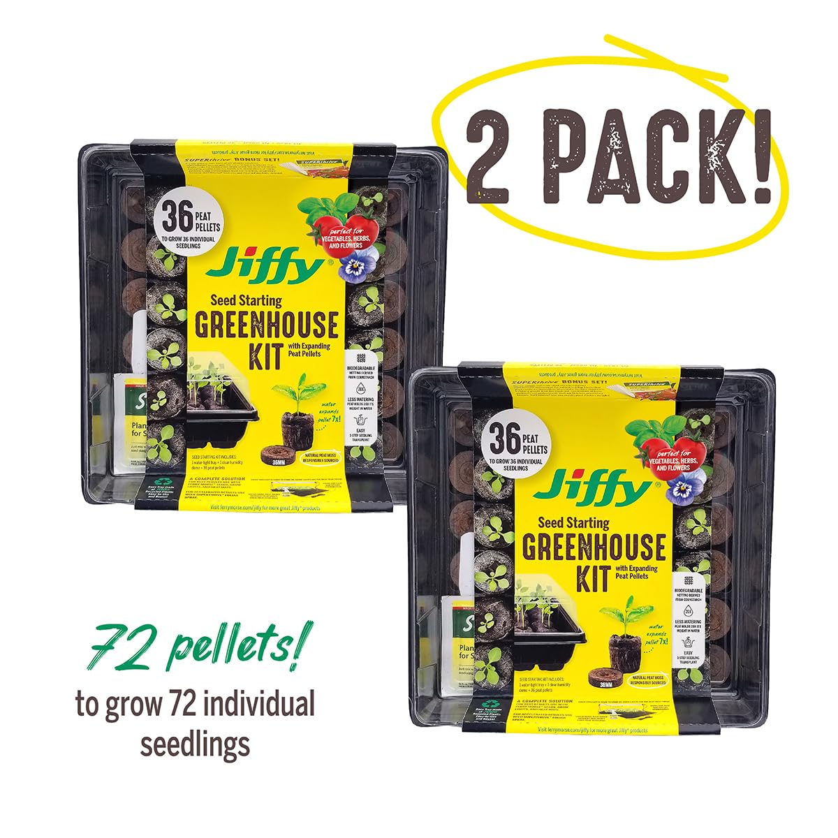Jiffy humidity dome over the tray supports warm, even sprouting.