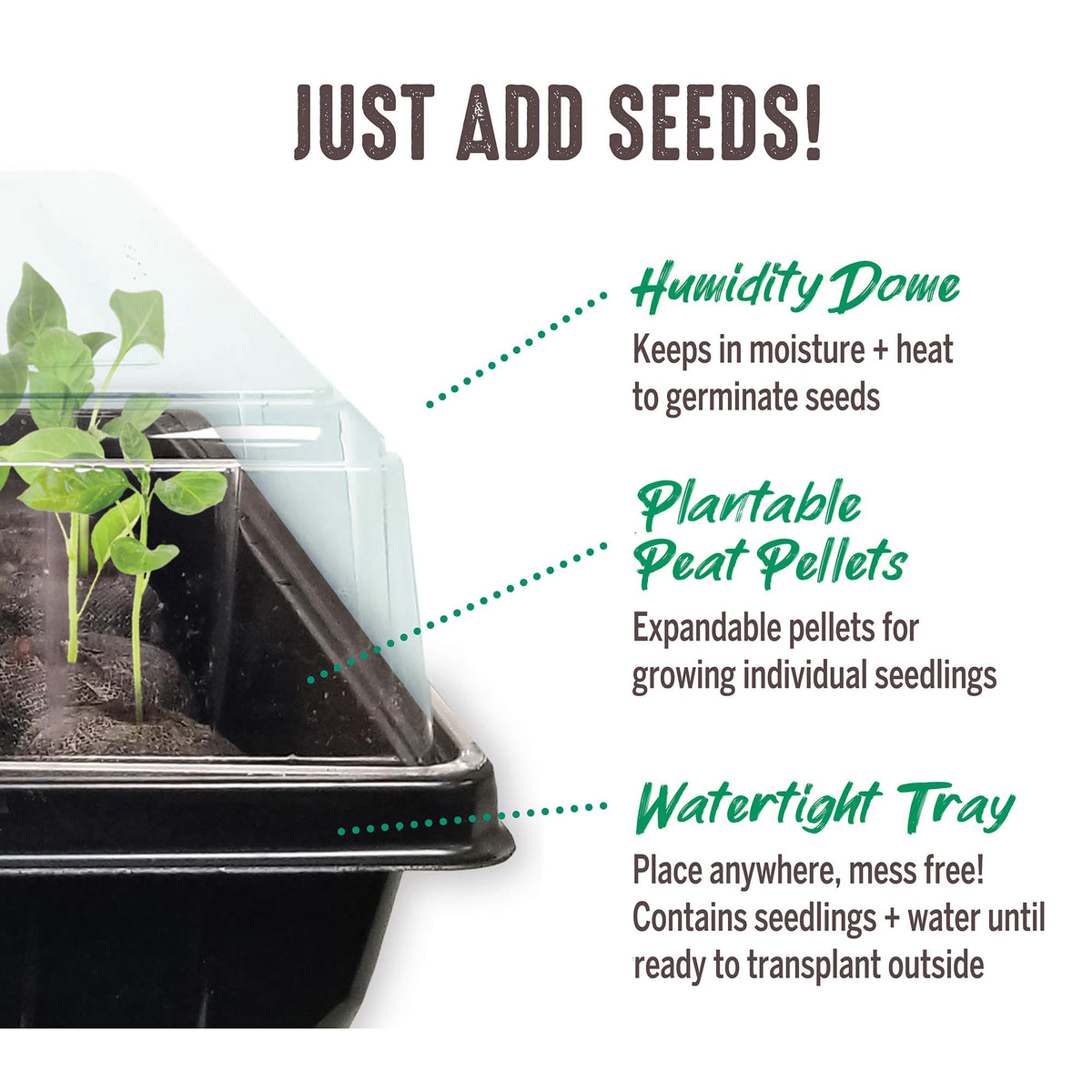 Jiffy seedling tray supports healthy root development and growth.