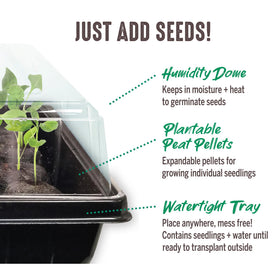 Jiffy seedling tray supports healthy root development and growth.