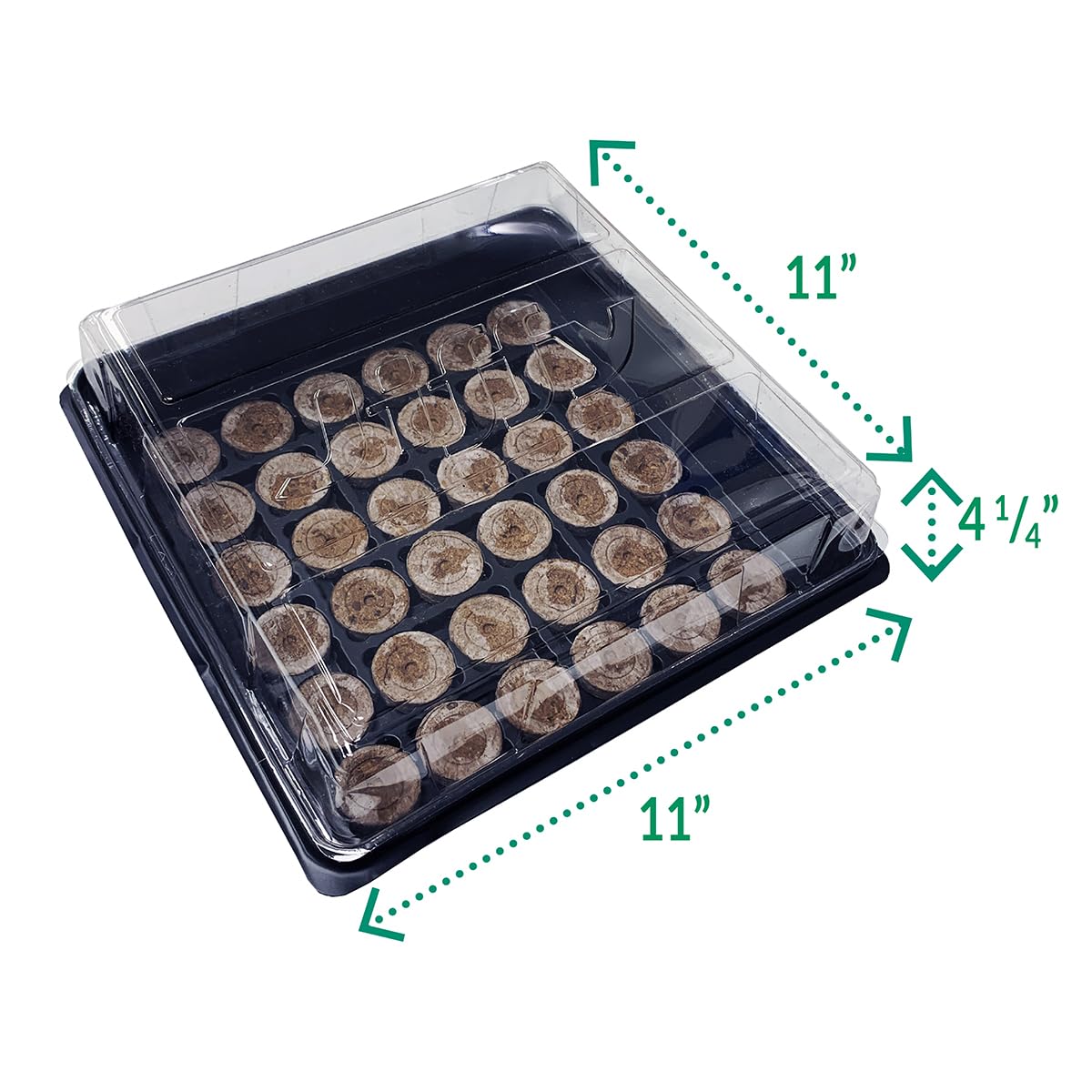 Jiffy tray with water-activation enables consistent seed germination results.