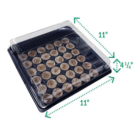 Jiffy tray with water-activation enables consistent seed germination results.