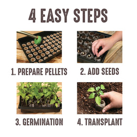 Jiffy two-pack seed tray set for home gardening projects.