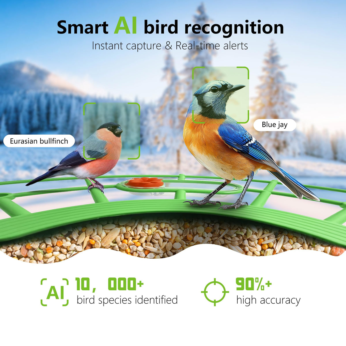 JIFUGLOB AI bird identification highlights species visiting your garden in real time.