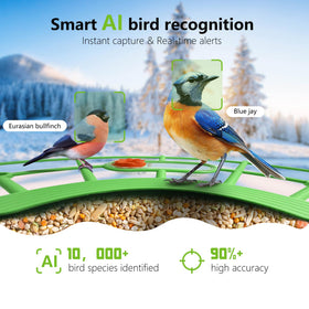 JIFUGLOB AI bird identification highlights species visiting your garden in real time.