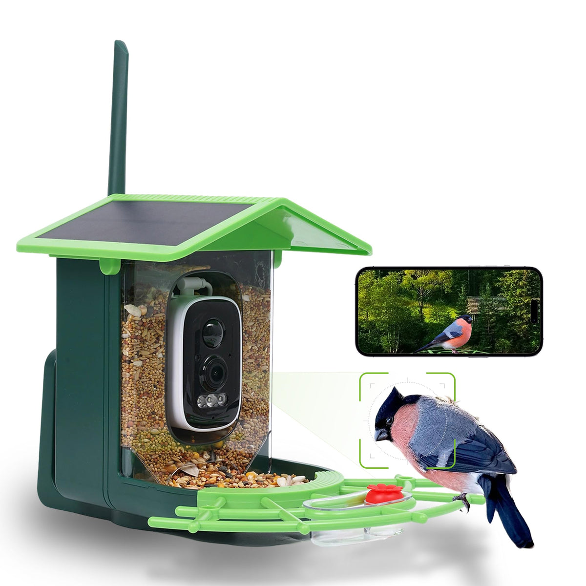 JIFUGLOB birdfeeder camera front view for easy backyard monitoring of visiting birds.