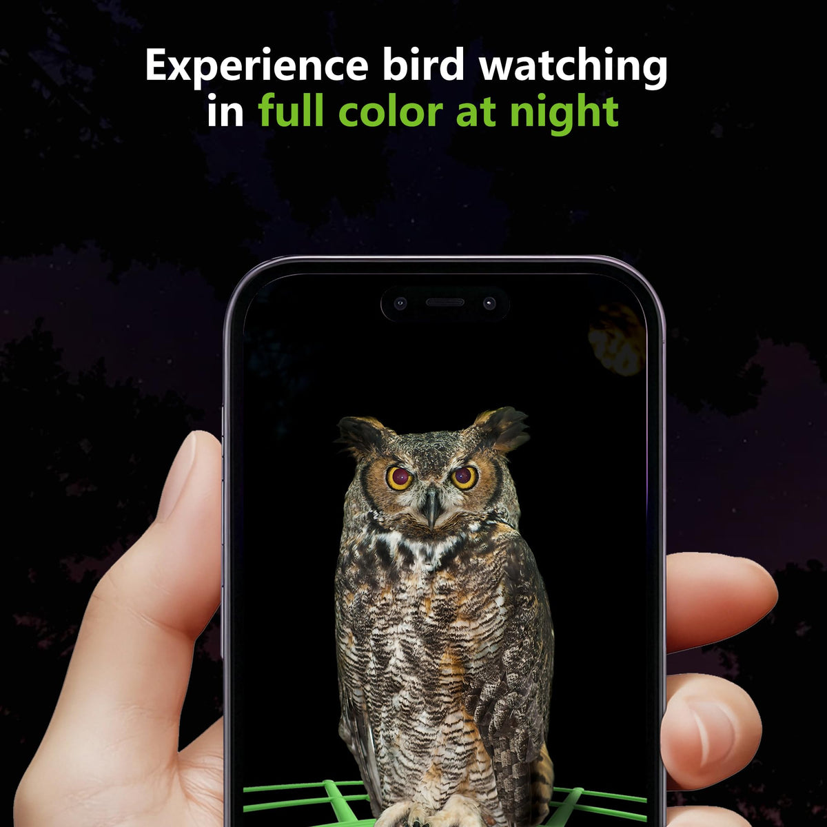 JIFUGLOB modern design blends with outdoor spaces while inviting more birds.