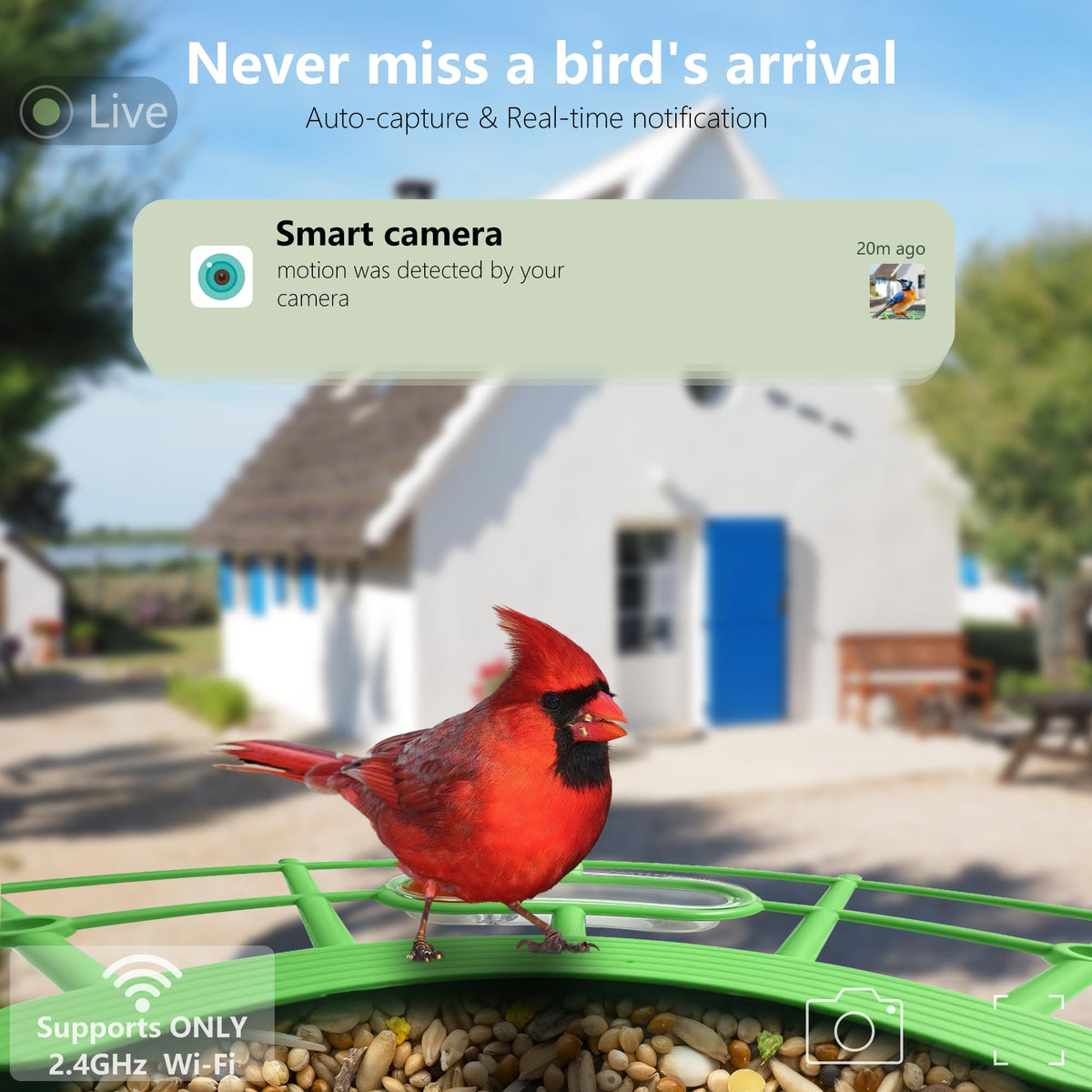JIFUGLOB solar-powered birdfeeder demonstrates eco-friendly outdoor operation.