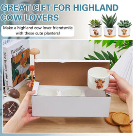 Jingmore ceramic planter set of 3 with bamboo trays for neat displays.