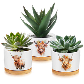Jingmore Highland Cow ceramic planter pot ideal for small plants and desks.