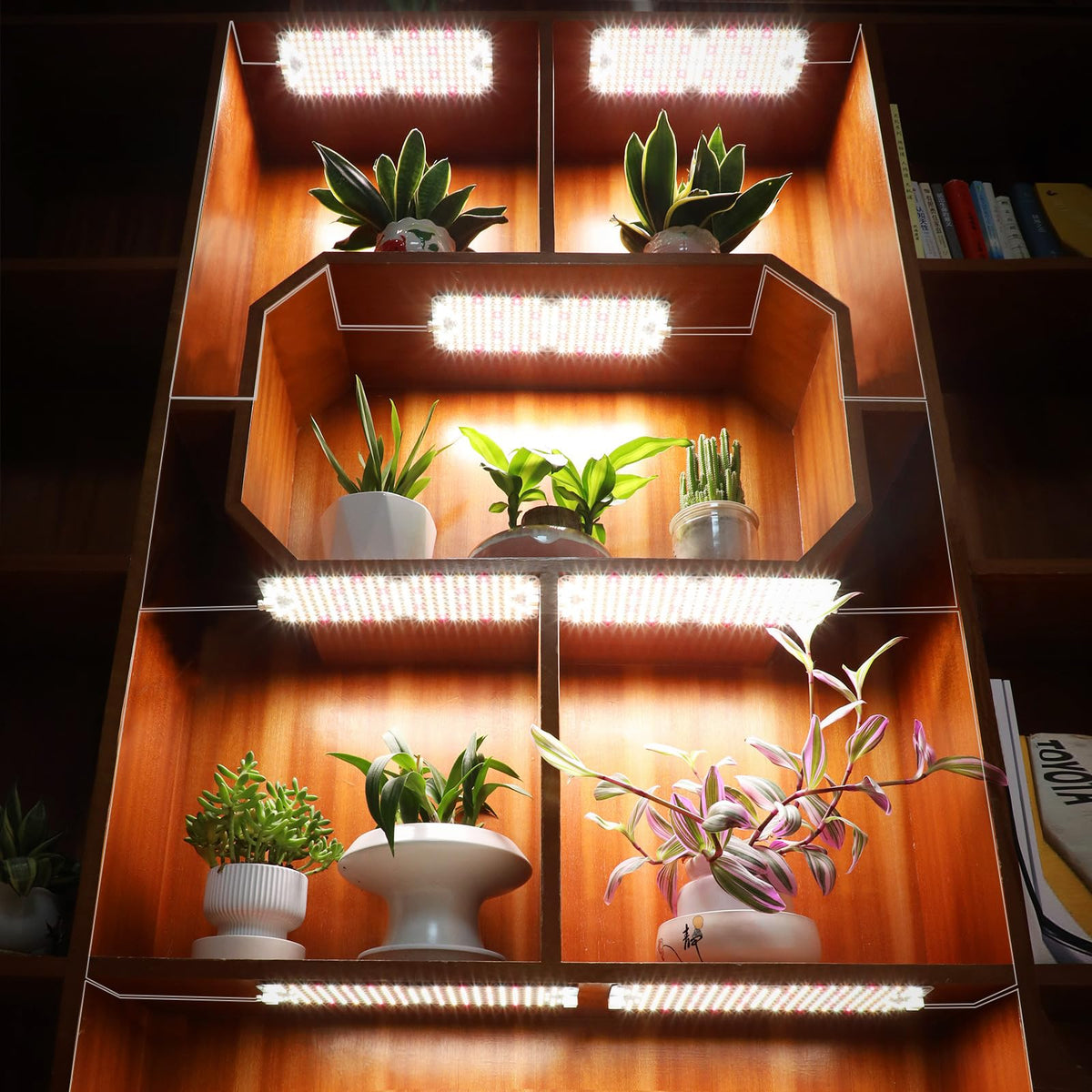 JINHONGTO energy-efficient LEDs deliver brighter output with lower power draw