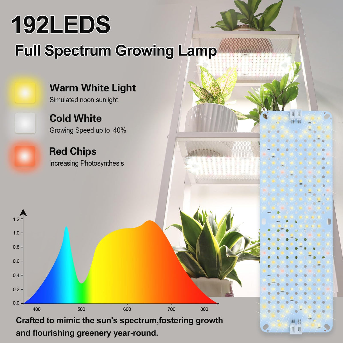 JINHONGTO timer-enabled panels automate daily light cycles