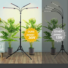 JINHONGTO 60-degree spotlight focuses light where plants need it most.