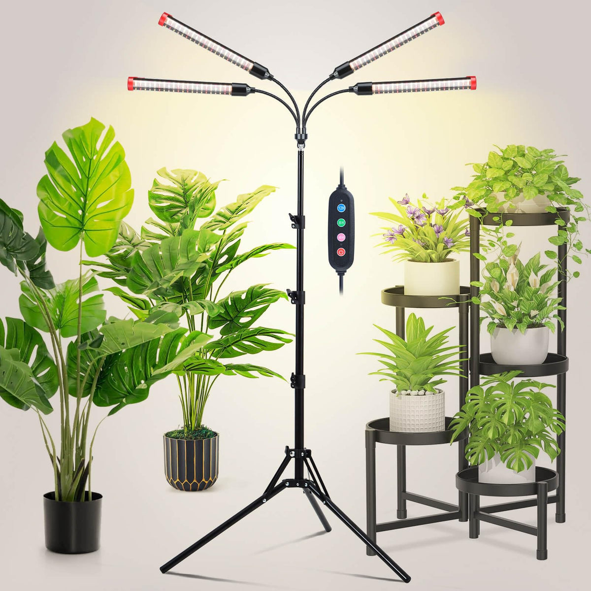 JINHONGTO Grow Light with Stand and Timer for easy setup and consistent plant growth.