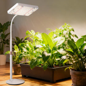 JINHONGTO grow light with adjustable height for diverse plant setups