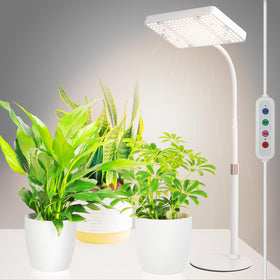JINHONGTO tabletop grow light over a desk setup to boost seed growth