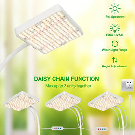 JINHONGTO full spectrum LED provides a natural daylight look