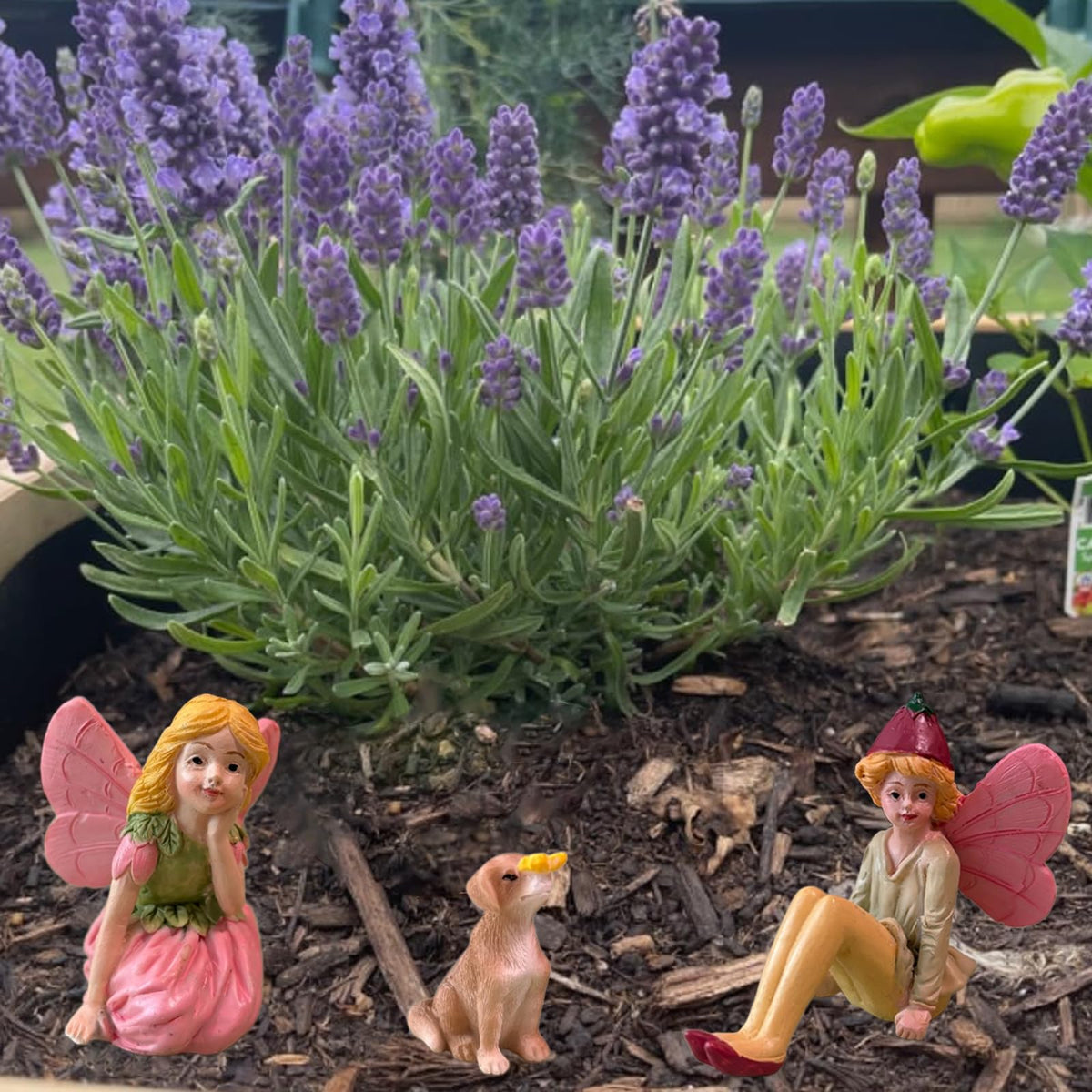 JIUMO mini fairy garden set includes three flower fairies and a puppy dog for charming backyard scenes.