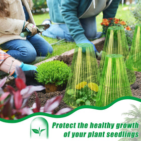 Jixsloft animal barrier cloche guards seedlings from snails and poultry