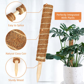 Close-up of JJGoo natural coir fiber highlighting water retention