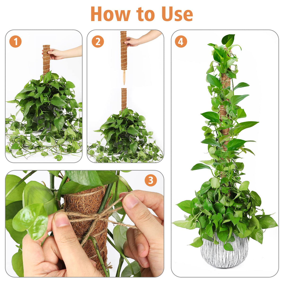 JJGoo moss poles with included jute rope for securing stems