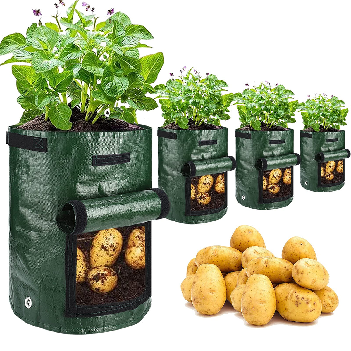 JJGoo potato grow bags 4-pack display for versatile home gardening.