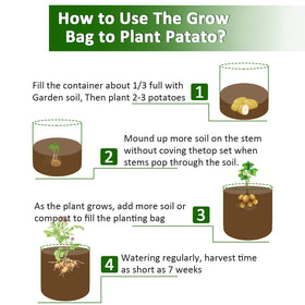 JJGoo ventilated holes boost air around roots for healthier growth.