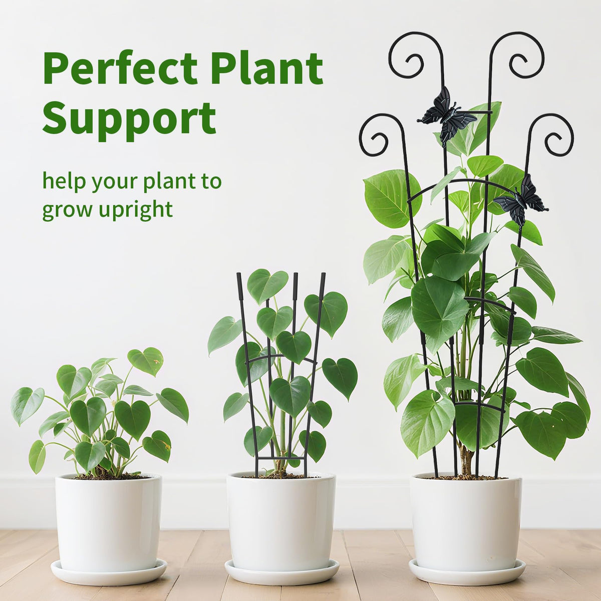 JJSHUANL supports jasmine honeysuckle and other climbers for vertical growth