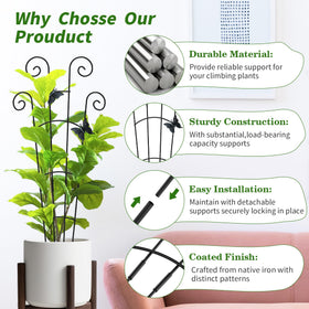 JJSHUANL rust-proof coating protects trellis in sun and rain