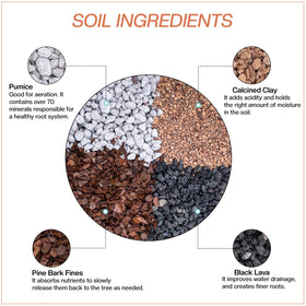 The Bonsai Supply Bonsai Soil All Purpose Mix pre-mixed texture shows ready-to-use convenience.