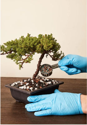 JK Global Imports Bonsai Supply 5oz fertilizer is root-friendly and non-burning for bonsai