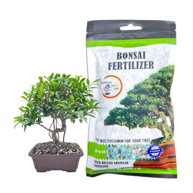 JK Global Imports Bonsai Supply 5oz fertilizer promoting root growth for healthy bonsai