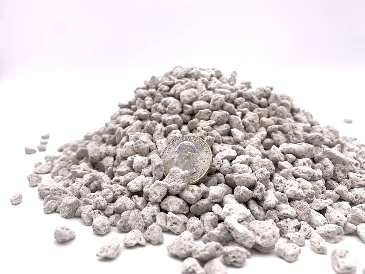 JK Global Imports pumice supports root development for bonsai and succulents.