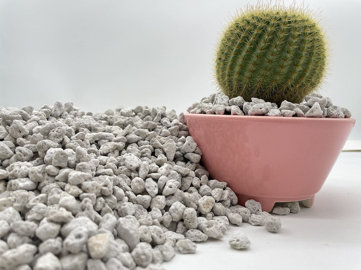 JK Global Imports pumice improves soil-mix drainage and root exploration.