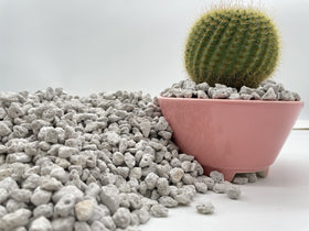 JK Global Imports pumice improves soil-mix drainage and root exploration.