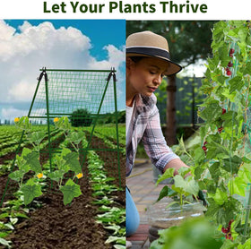 Netting and clips from JK-GMTE trellis secure delicate vines for steady growth.