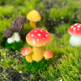 JKanruh fairy garden mushroom collection enhances outdoor scenes with whimsical color