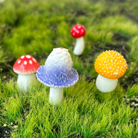 JKanruh mini garden terrarium mushrooms brighten small spaces with playful detail