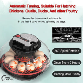 Jkwiwe incubator ready-to-hatch kit includes four waterers for convenience